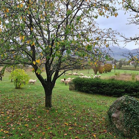 Forestside House Gacka With Relax Area Sinac Zewnętrze zdjęcie